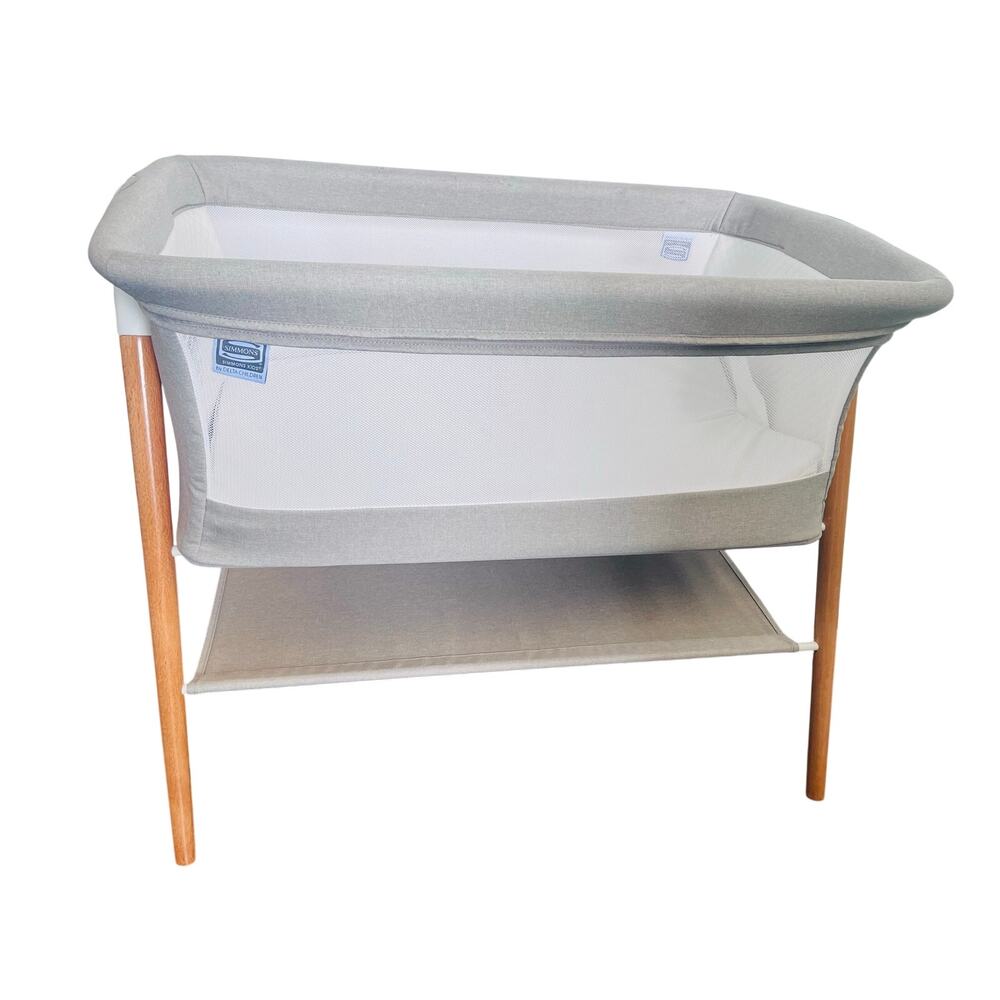 Fisher-Price Rock With Me Bassinet